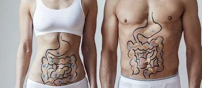 Gut feeling: why good posture is essential for healthy digestion